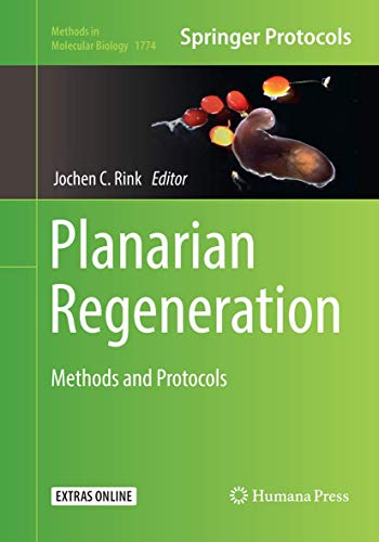 Planarian Regeneration: Methods and Protocols (Methods in Molecular Biology, 1774, Band 1774)