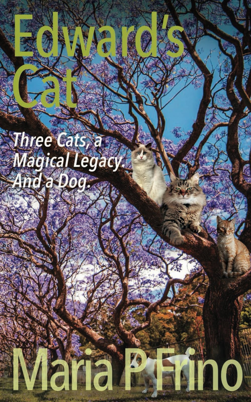 Edward's Cat: Three Cats, a Magical Legacy. And a Dog: Book Three