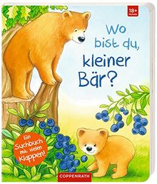 Wo bist du, kleiner Bär?