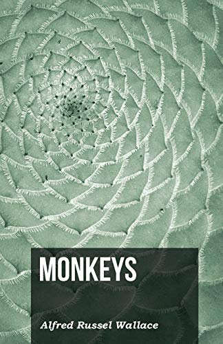 Monkeys