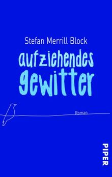 Aufziehendes Gewitter: Roman