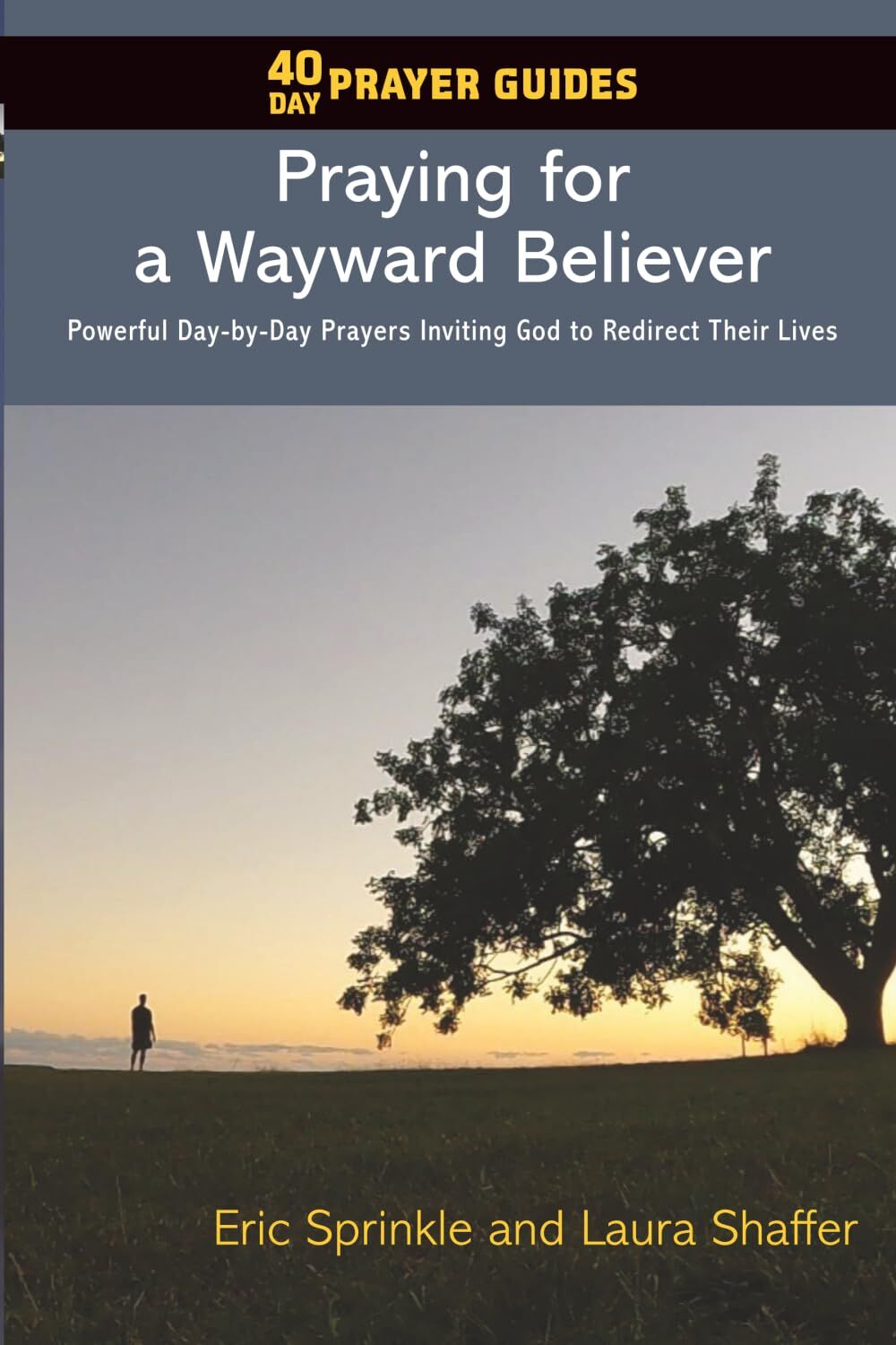 40 Day Prayer Guides - Praying for a Wayward Believer