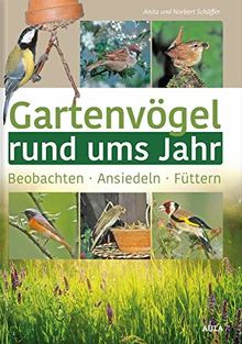 Gartenvögel rund ums Jahr: Beobachten – Ansiedeln – Füttern