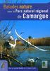 Balades nature dans le Parc naturel régional de Camargue : avec un guide illustré de la faune locale