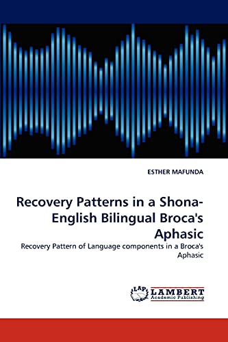Recovery Patterns in a Shona- English Bilingual Broca's Aphasic: Recovery Pattern of Language components in a Broca's Aphasic