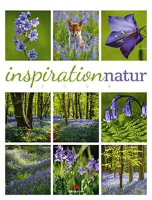 Inspiration Natur Kalender 2024, Wandkalender im Hochformat (50x66 cm) - Inspirations- / Naturkalender mit Bildmosaik im Triplet-Stil