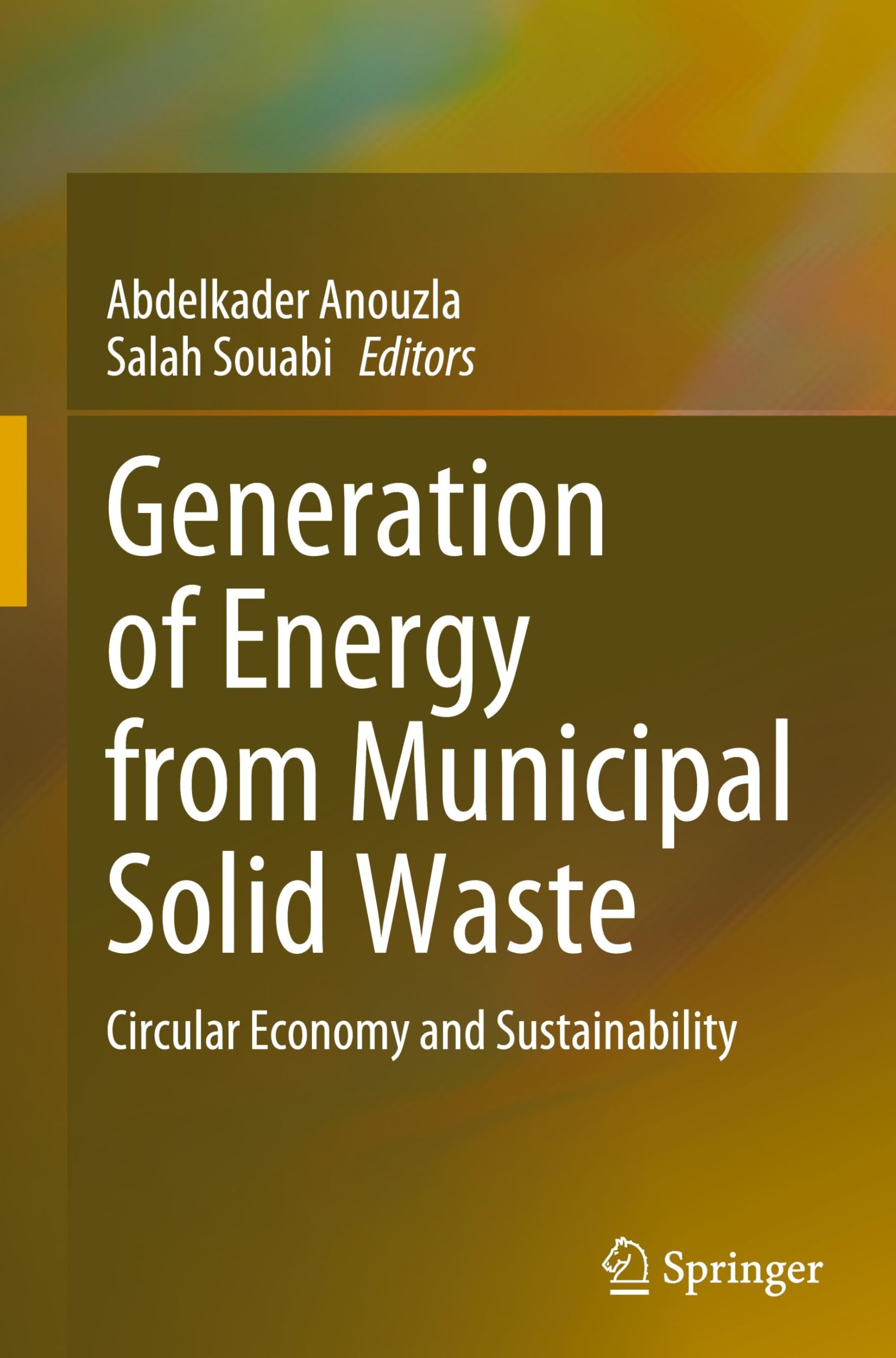 Generation of Energy from Municipal Solid Waste: Circular Economy and Sustainability