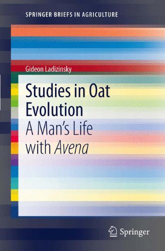 SpringerBriefs in Agriculture   Studies in Oat Evolution - Gideon Ladizinsky Kartoniert (TB)
