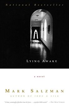 Lying Awake: A Novel (Vintage Contemporaries)