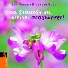 Da staunst du, kleiner Grashüpfer!