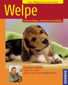 Welpe: Halten & Pflegen, Verstehen & Beschäftigen