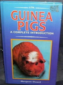 Guinea Pigs a Complete Introduction