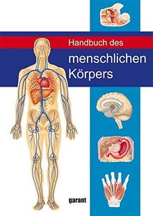 Handbuch des menschlichen Körpers