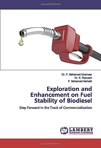 Exploration and Enhancement on Fuel Stability of Biodiesel: Step Forward in the Track of Commercialization