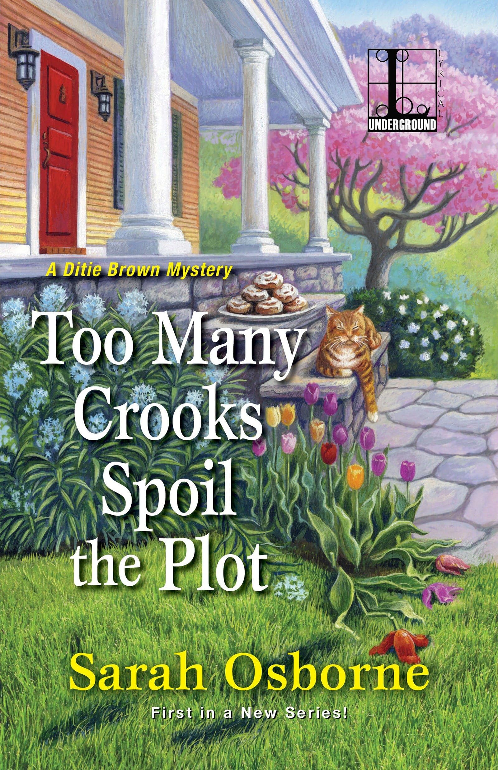 Too Many Crooks Spoil the Plot (A Ditie Brown Mystery, Band 1)