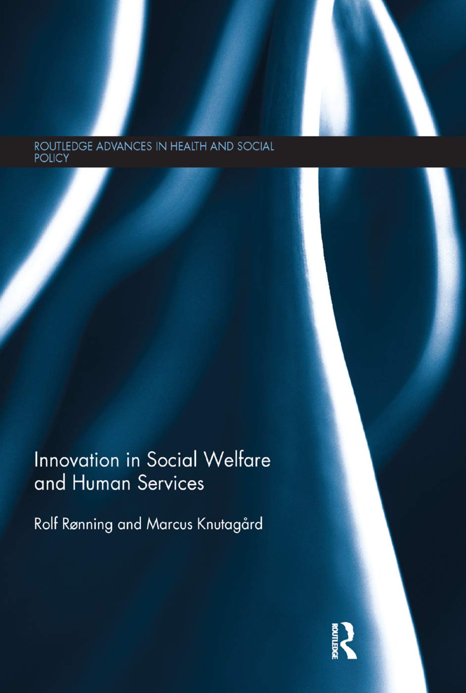 Innovation in Social Welfare and Human Services (Routledge Advances in Health and Social Policy)