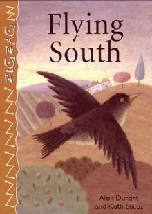 Flying South (Zigzag)