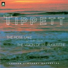 Tippett The Rose Lake und