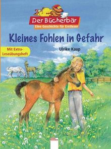 Kleines Fohlen in Gefahr. Der Bücherbär: Eine Geschichte für Erstleser