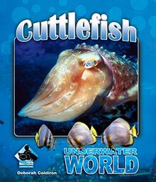 Cuttlefish (Underwater World)