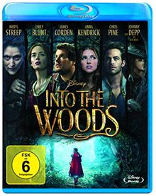 Into the Woods [Blu-ray] von Marshall, Rob | DVD | Zustand sehr gut
