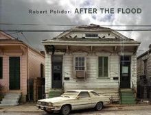 After the Flood