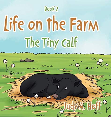 Life on the Farm: The Tiny Calf