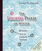 Fourth Phase of Water: Beyond Solid, Liquid & Vapor