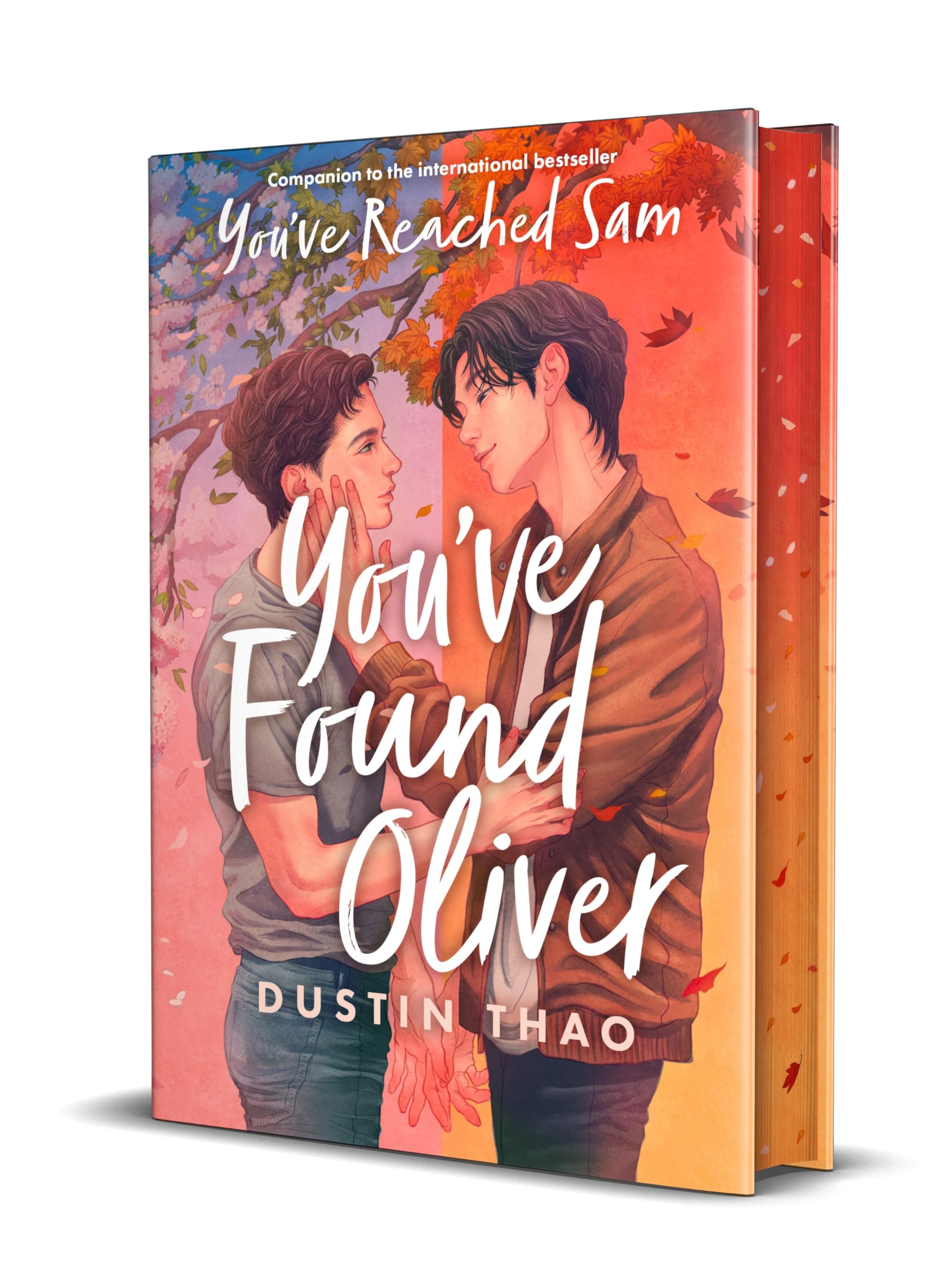 You've Found Oliver: A Heartbreaking YA Romance with a Touch of Magic