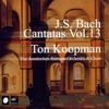 Bach - Kantaten Vol.13 / Ton Koopman [BOX SET]