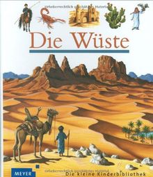 Die Wüste