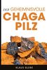 Der geheimnisvolle Chaga Pilz