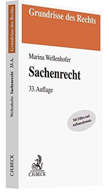 Sachenrecht (Grundrisse des Rechts)