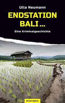 Endstation Bali...: Eine Kriminalgeschichte