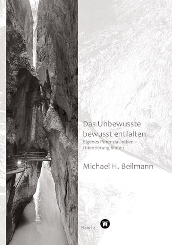 Das Unbewusste bewusst entfalten: Eigenes Potenzial heben – Orientierung finden (Bd. 2) (Interpretation von Wahrnehmung)