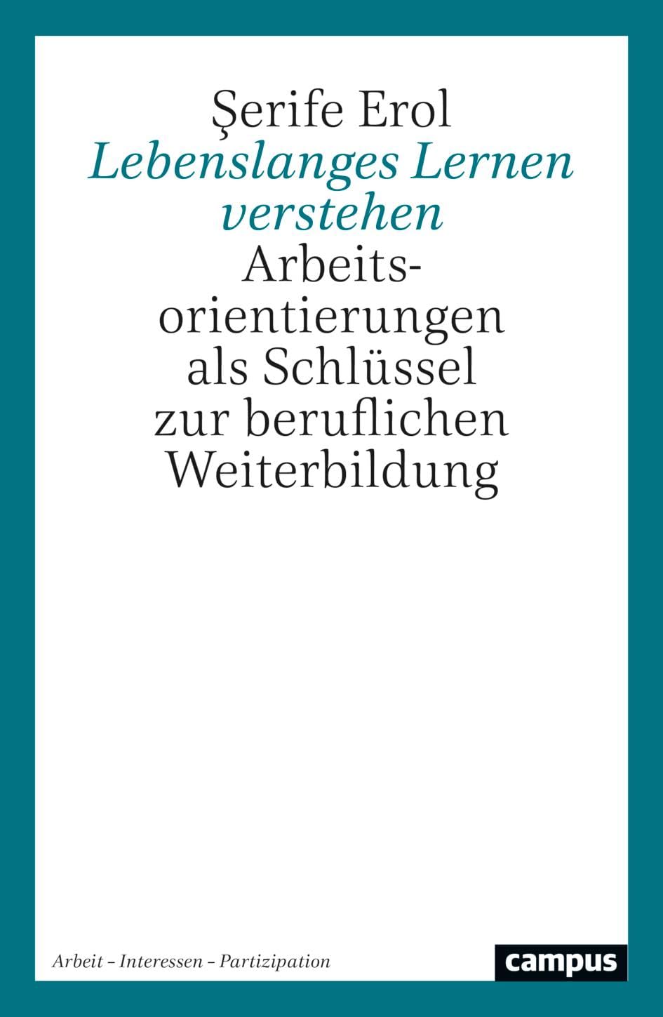 Lebenslanges Lernen verstehen: Arbeitsorientierungen als Schlüssel zur beruflichen Weiterbildung (Arbeit - Interessen - Partizipation, 17)
