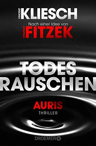 Todesrauschen Cover