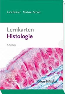 Lernkarten Histologie (Sobotta)