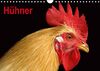 Hühner/Geburtstagskalender (Wandkalender immerwährend DIN A4 quer)