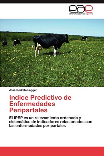Indice Predictivo de Enfermedades Peripartales: El IPEP es un relevamiento ordenado y sistemático de indicadores relacionados con las enfermedades peripartales
