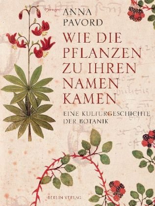 Die Tulpe. Eine Kulturgeschichte von Anna Pavord - Gebundene Ausgabe