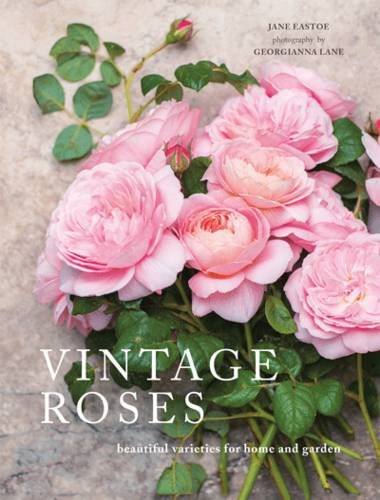 Jane Eastoe Vintage Roses, Beautiful Varieties For Home And Garden