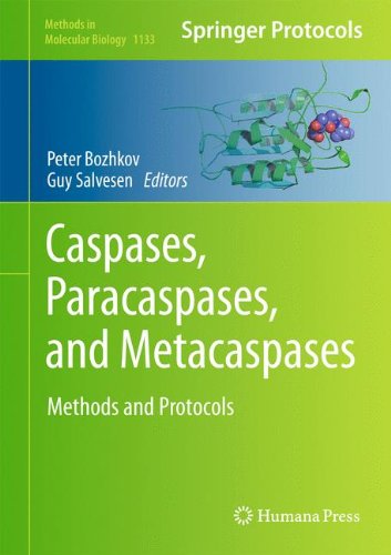 Caspases,Paracaspases, and Metacaspases: Methods and Protocols (Methods in Molecular Biology)