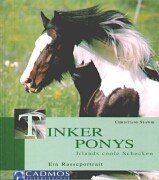 Tinker Ponys: Irlands coole Schecken