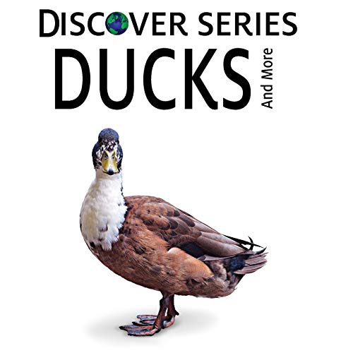 Ducks (Discover)