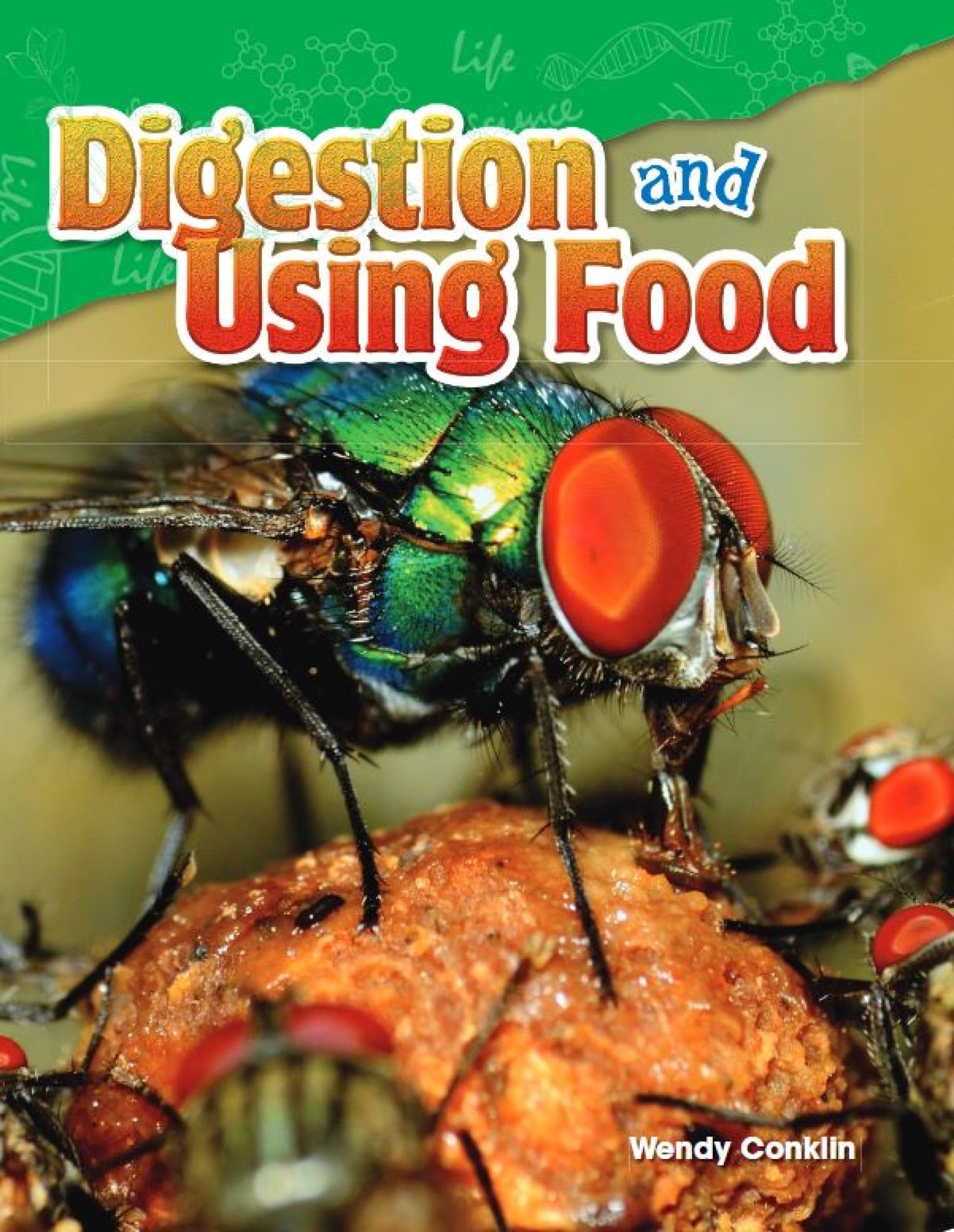 Digestion and Using Food (Science: Informational Text)