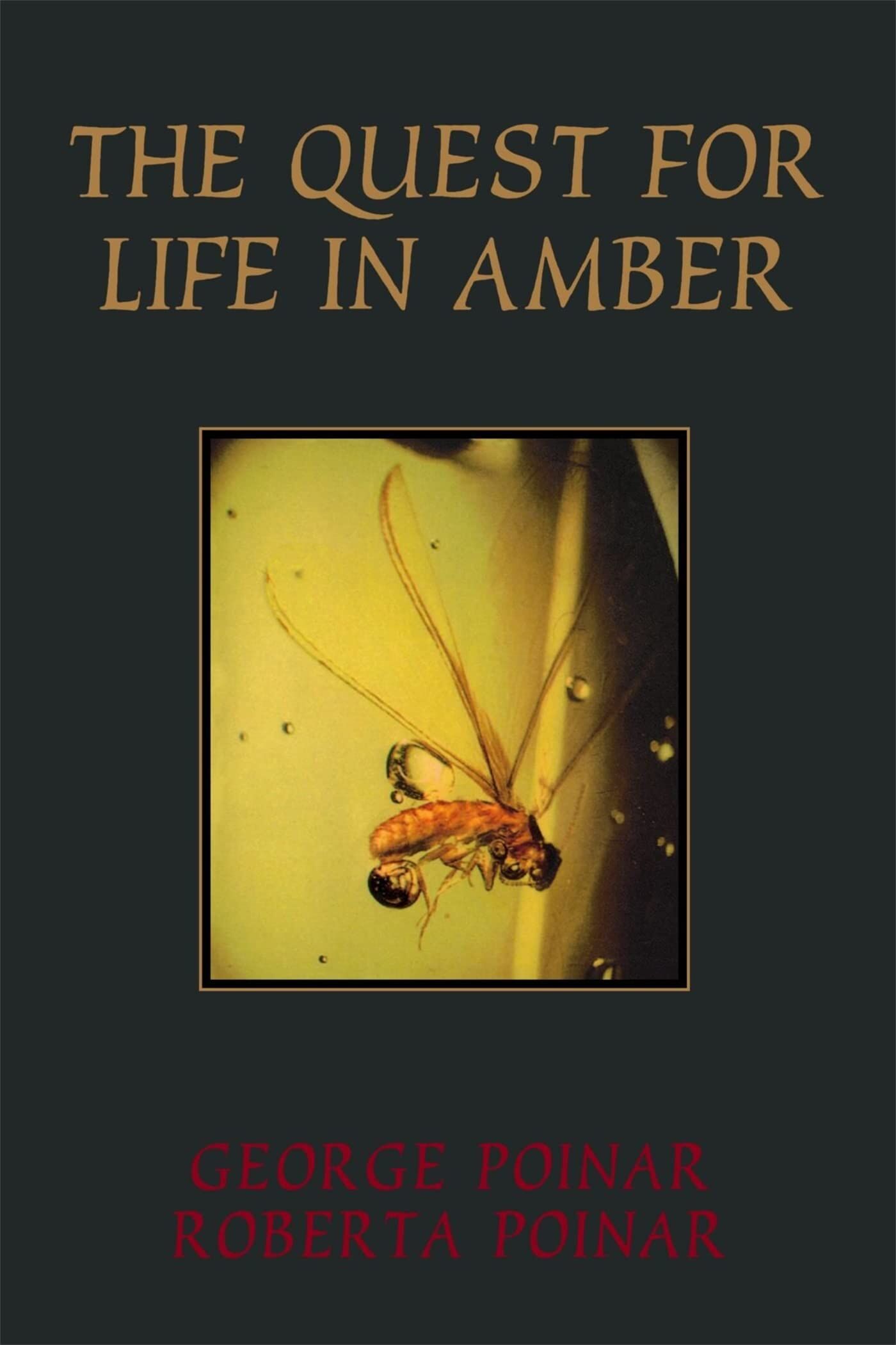 Quest for Life in Amber