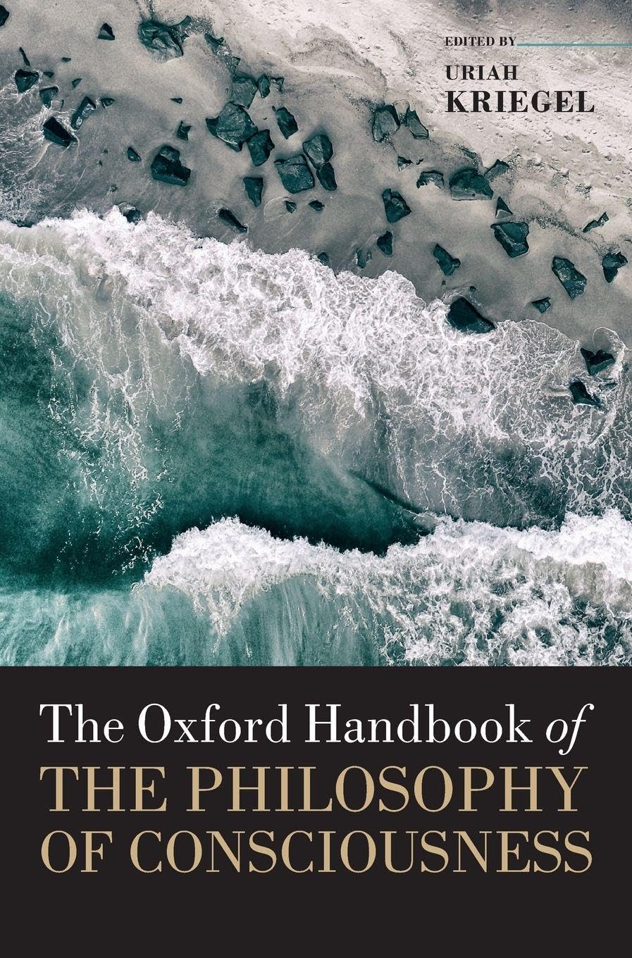Oxford Handbook of the Philosophy of Consciousness (Oxford Handbooks)
