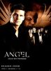 Angel - Jäger der Finsternis: Season 4.1 Collection [3 DVDs]