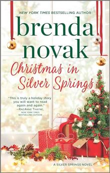 Christmas in Silver Springs (Silver Springs, 6)